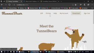 TunnelBear 4.7.2.0 Serial Key Free Download For PC 2023