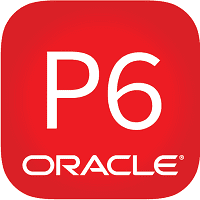Primavera P6 Professional 20 Crack + Serial Key Free Download 2022