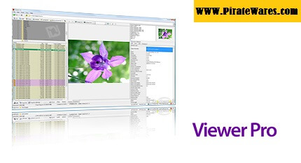 WildBit Viewer 6.10 Free Download - Portable Pro + Commercial