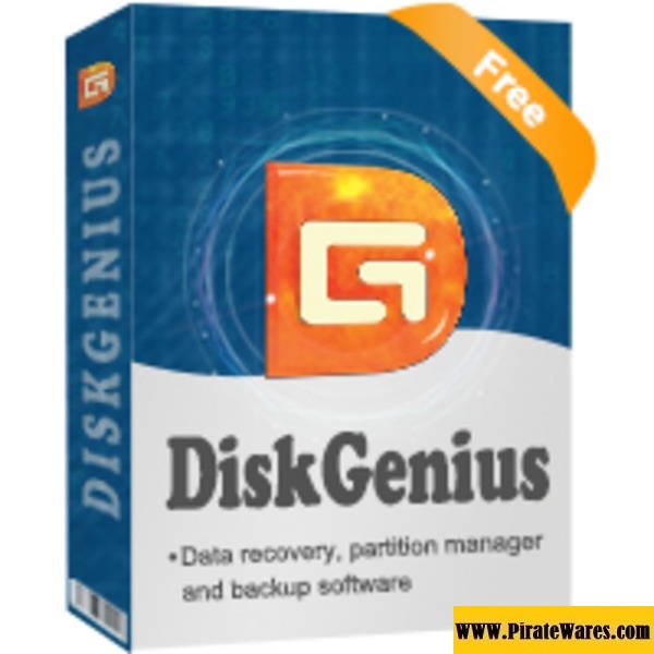 DiskGenius Pro License Key