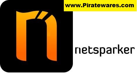 NetSparker Professional v6.3.3.34686 Free Download Here 2023