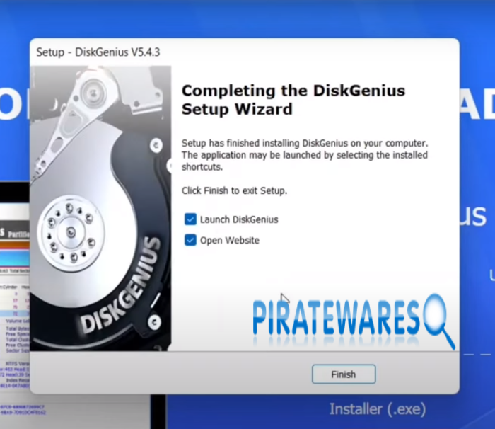 DiskGenius Pro License Key