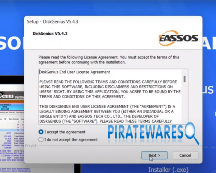 DiskGenius Pro License Key