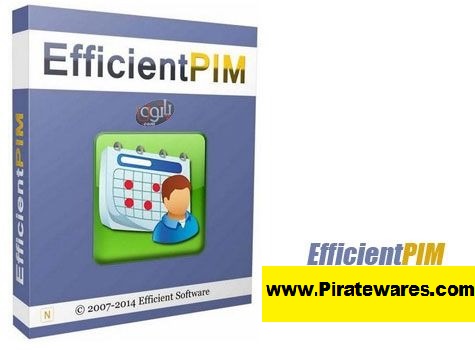EfficientPIM Pro 5.60 Build 559 Portable Free Download 2023