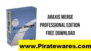 Araxis Merge Professional 2023.5877 Serial Number 2023